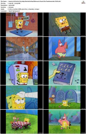 spongebob squarepants limetorrents|SpongeBob.SquarePants.S01.1080p60.AMZN.WEBRip.DDP2.0.x.